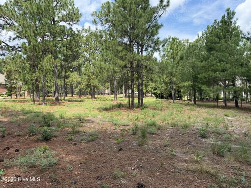 21 Strathaven Dr, Pinehurst, NC, 28374-9779 | Card Image