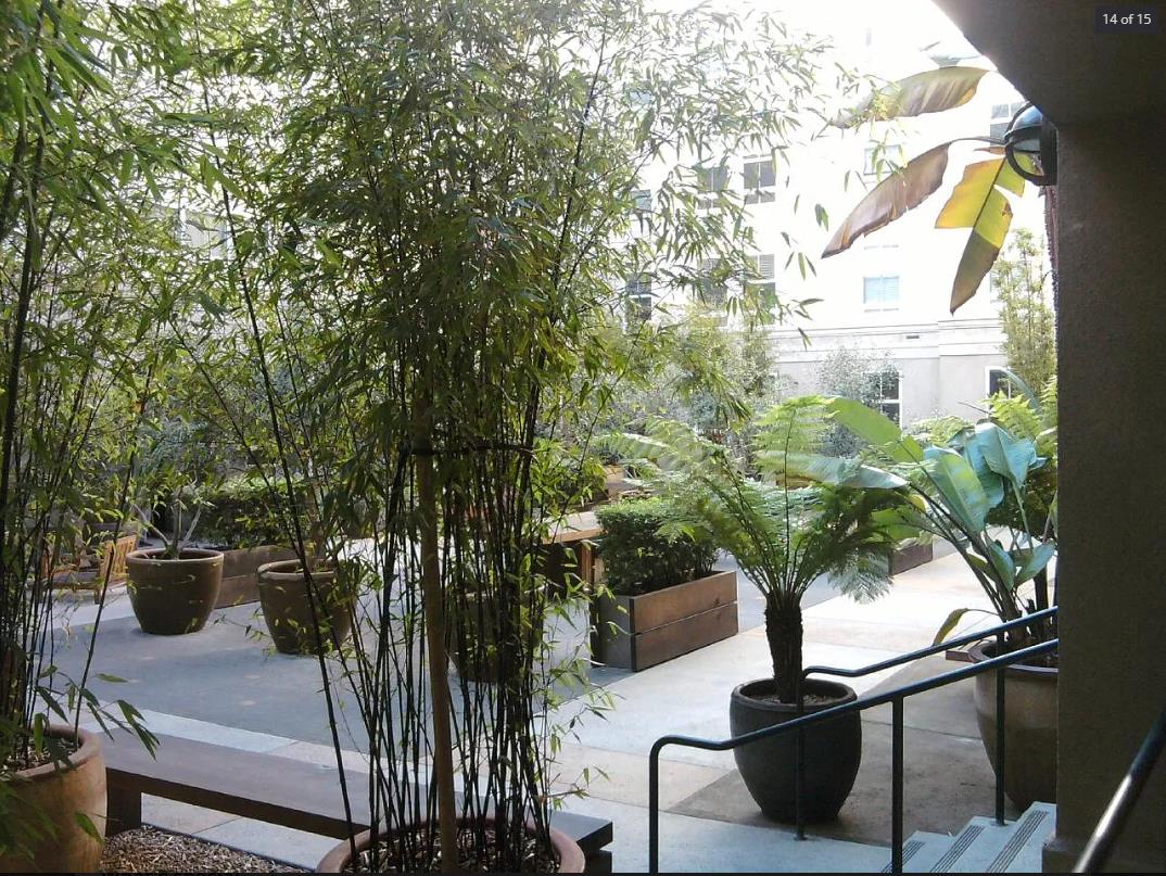 Residential Lease in San Francisco 3