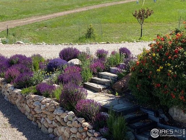 80 Little Bald Mountain Ct, House other with 3 bedrooms, 3 bathrooms and null parking in Livermore CO | Image 5