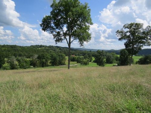 0 Shaw Rd, Cornersville, TN, 37047 | Card Image