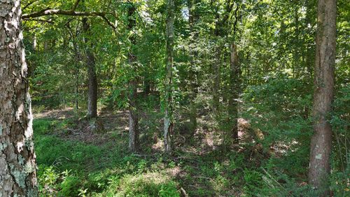 0 Fezzell Road, Decatur, TN, 37322 | Card Image