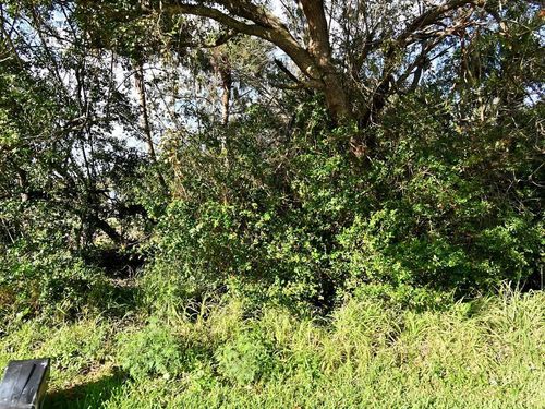 0 Diego Avenue, Fort Pierce, FL, 34946 | Card Image