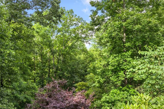 3398 Cullowhee Forest Rd, House other with 3 bedrooms, 4 bathrooms and null parking in Cullowhee NC | Image 34