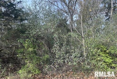 Lot 177 Sycamore Dr, Goreville, IL, 62939-2283 | Card Image