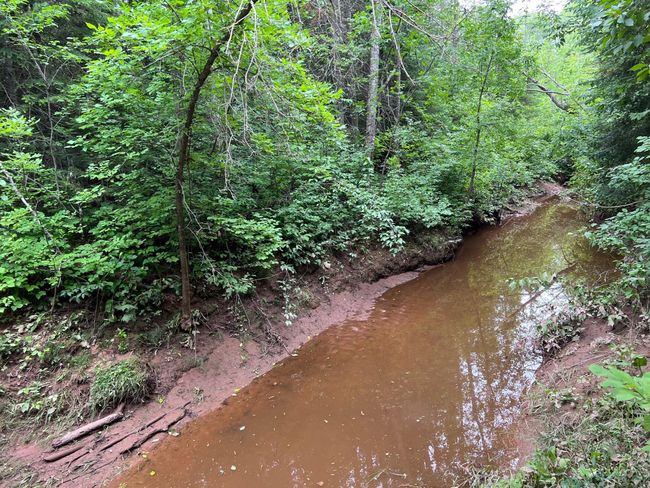 Sandy shore Sand River | Image 7