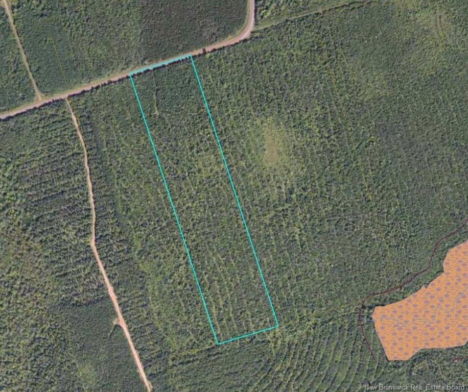 Land in Studholm 2
