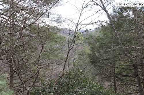 29 N Hidden Mountain Lane, Crumpler, NC, 28617 | Card Image