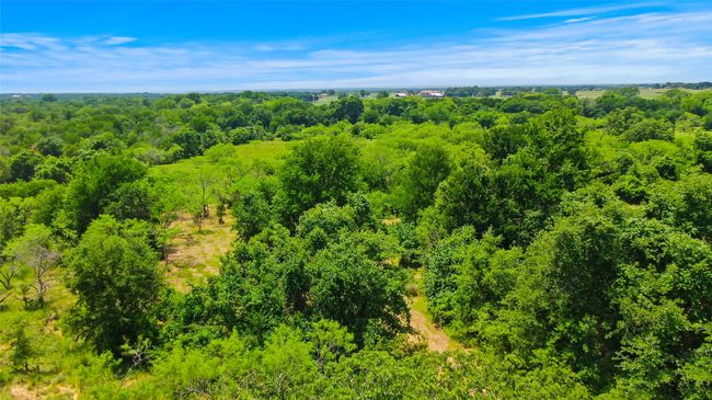 4008 Luciano Dr, Home with 0 bedrooms, 0 bathrooms and null parking in Brock TX | Image 14