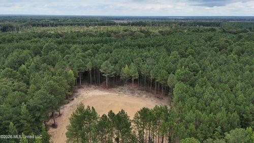 681 Lone Pine Church Road, Lena, MS, 39094 | Card Image