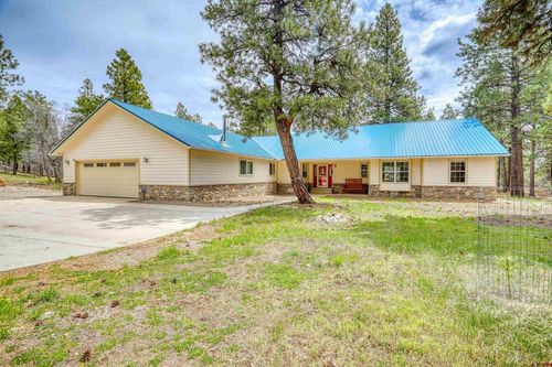 1160 Majestic Dr, Pagosa Springs, CO, 81147-7018 | Card Image