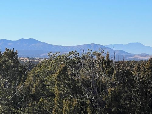 1957 Deer Canyon Trl, Mountainair, NM, 87036 | Card Image