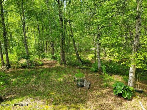 22107 S I St, Talkeetna, AK, 99676 | Card Image