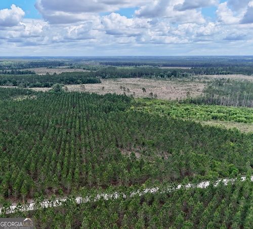 17 AC Owens Rd, Odum, GA, 31555 | Card Image