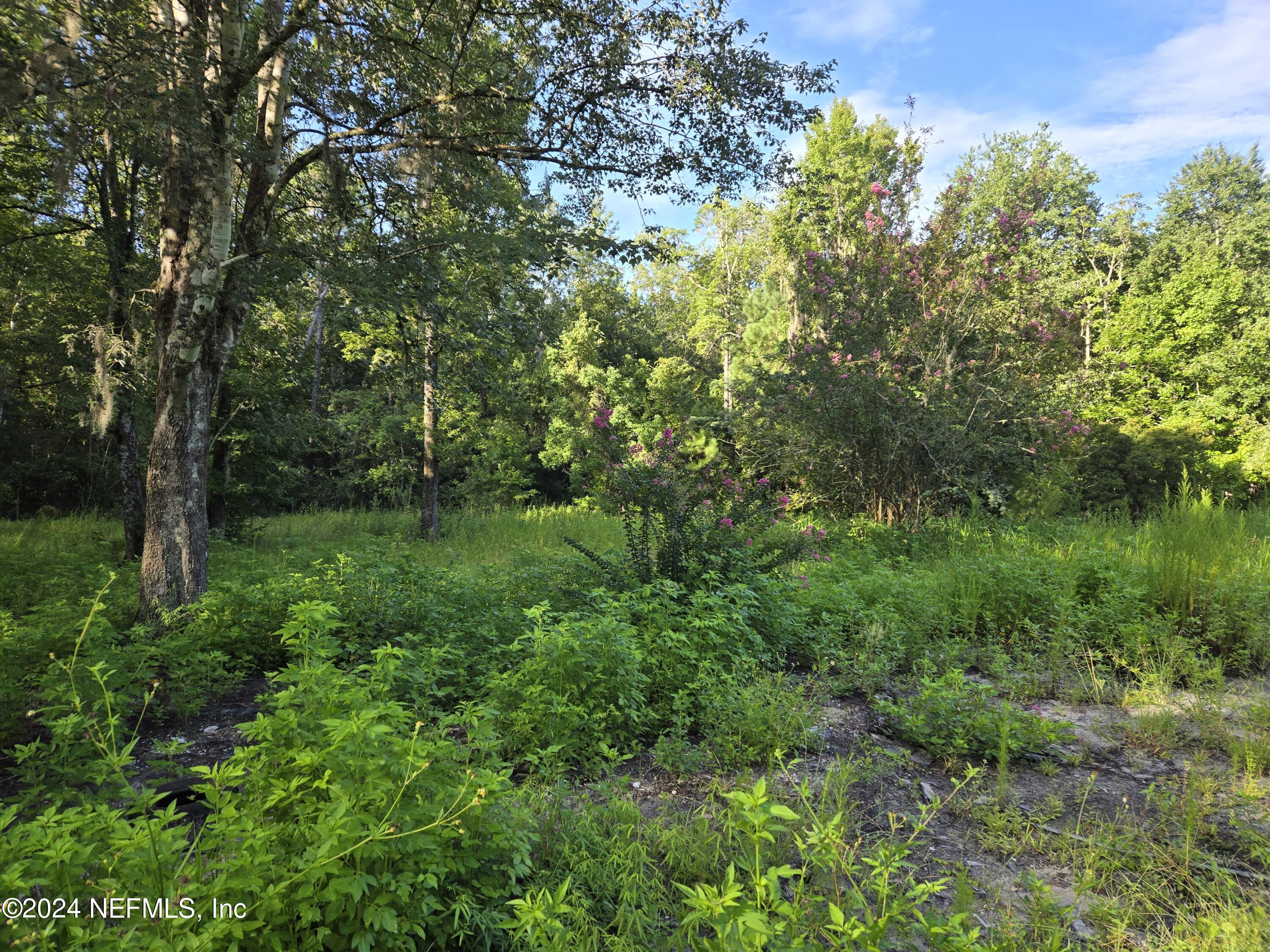 Mcallister Rd, Middleburg, FL 32068