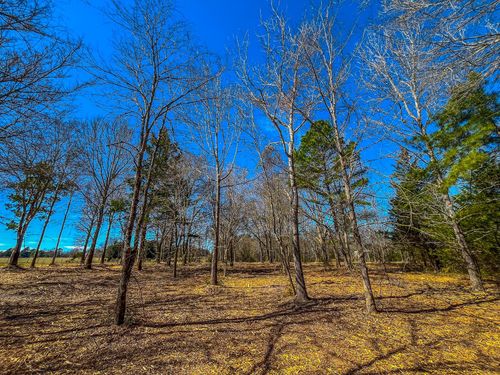 Tract 1 County Road 1713, Jacksonville, TX, 75766 | Card Image