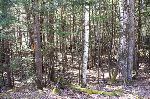 Lot 185 Hanover Drive, Haverhill, NH, 03765 | Card Image