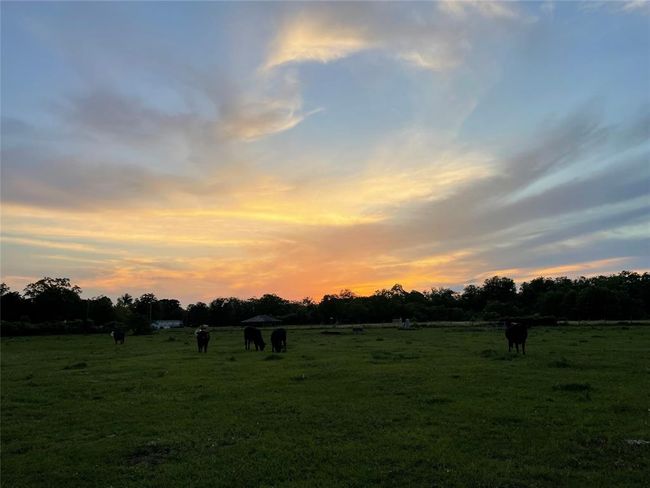 3295 Fm 524 Rd, House other with 3 bedrooms, 3 bathrooms and 2 parking in Sweeny TX | Image 43