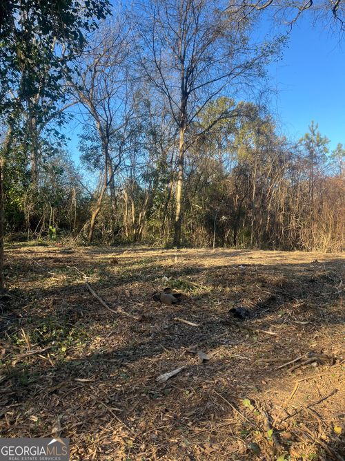 0 Old Griffin Rd, MCDONOUGH, GA, 30253 | Card Image