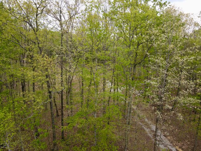 0 Deerwood Dr, Home with 0 bedrooms, 0 bathrooms and null parking in Sewanee TN | Image 49