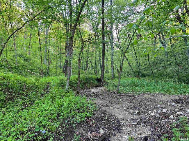 0 N Chambers Rd, Home with 0 bedrooms, 0 bathrooms and null parking in Smithfield IL | Image 16