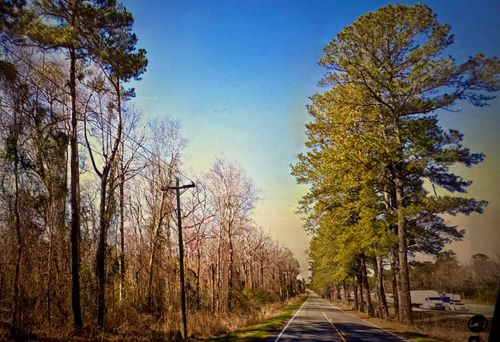 0000 Citadel Road, Orangeburg, SC, 29118 | Card Image