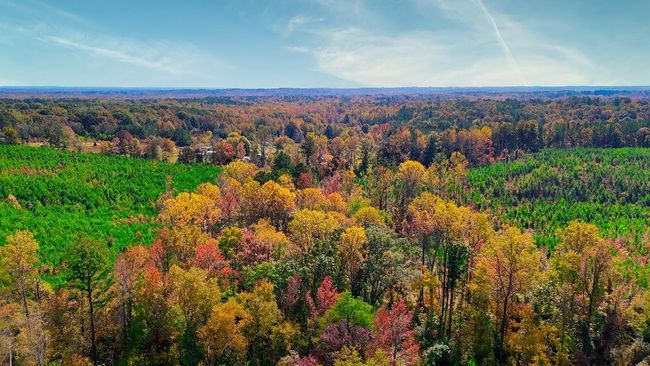 4 Ferrell Rd, Home with 0 bedrooms, 0 bathrooms and null parking in Middleton TN | Image 10