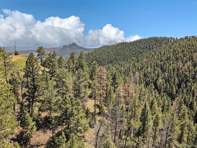 13809 Elsie Rd, Home with 0 bedrooms, 0 bathrooms and null parking in Conifer CO | Image 20