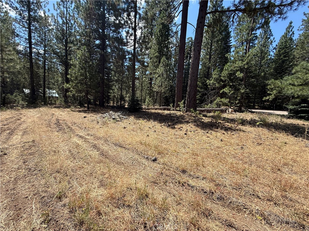Land in Old Station 4