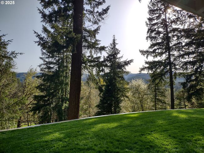 39145 Eagles Rest Rd, House other with 4 bedrooms, 3 bathrooms and 2 parking in Dexter OR | Image 36