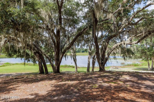 111 Penny Acres Ln, House other with 3 bedrooms, 2 bathrooms and null parking in Welaka FL | Image 31