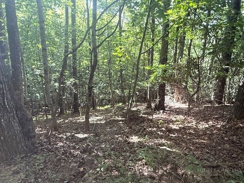 TBD Austin Taylor Ln, Fleetwood, NC, 28626 | Card Image