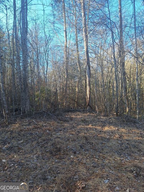 0 Bent Wood Ln, Blue Ridge, GA, 30513 | Card Image