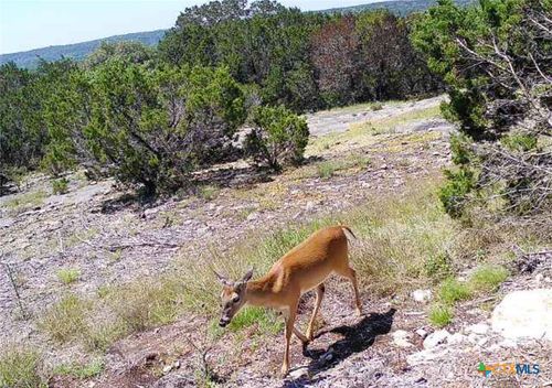 134 Yellowstone Dr, Oglesby, TX, 76561 | Card Image