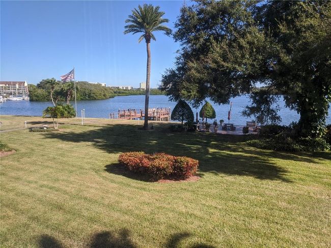 View from sunroom | Image 18