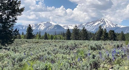 313-4913 Pinecrest Rd, Evanston, WY, 82930 | Card Image