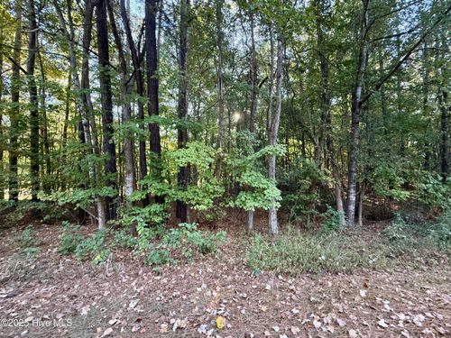 Tbd Clark St, Hertford, NC, 27944 | Card Image