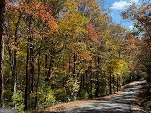 LOT 9 Peter Knob Rd, Blue Ridge, GA, 30513 | Card Image
