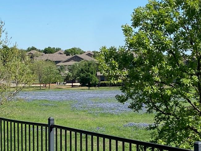 Greenbelt view from the backyard | Image 23