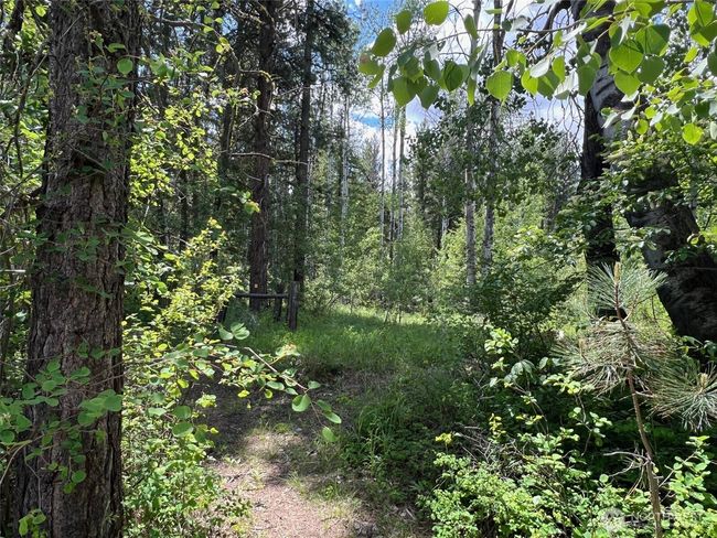 River trail, wildlife and nature. | Image 12