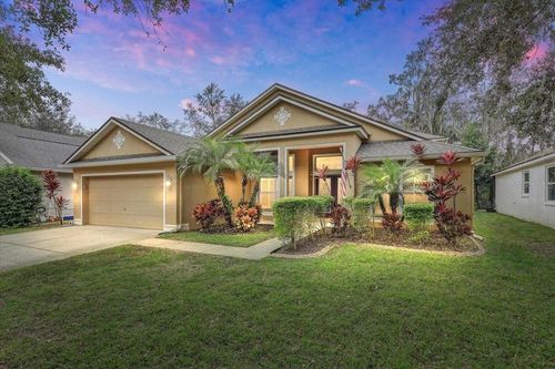 15129 Shearcrest Dr, Lithia, FL, 33547-4809 | Card Image