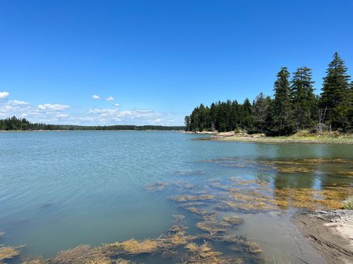 86 Back Shore Rd, Steuben, ME, 04680-3745 | Card Image