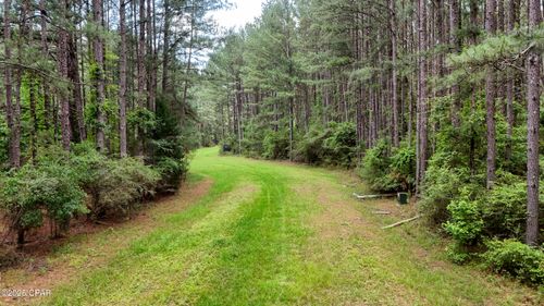 0 Southern Oak Way, Westville, FL, 32464 | Card Image