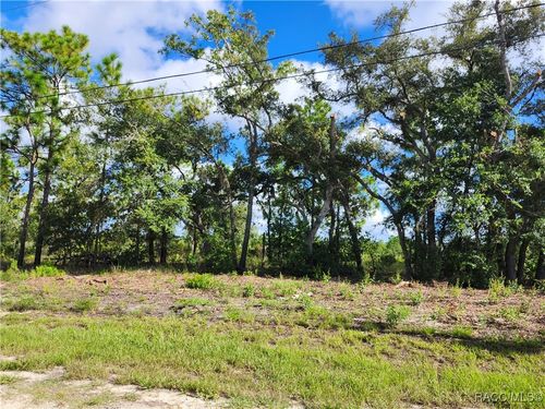 6715 N Darlington Dr, DUNNELLON, FL, 34434-4400 | Card Image