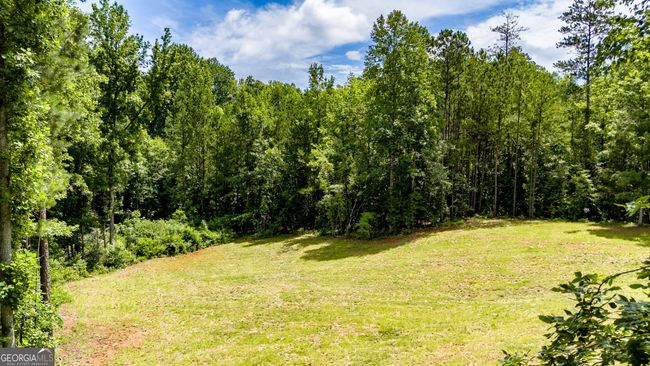 0 John Lovelace Rd, Home with 0 bedrooms, 0 bathrooms and null parking in LAGRANGE GA | Image 46