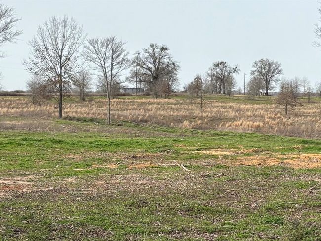 TRACT-2 - TBD County Road 2425, Home with 0 bedrooms, 0 bathrooms and null parking in Como TX | Image 4