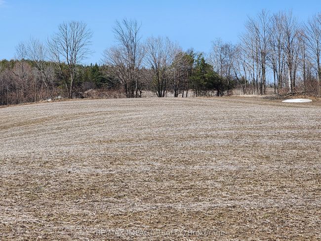 3488 Skelding Rd, Home with 0 bedrooms, 0 bathrooms and null parking in Orono ON | Image 4