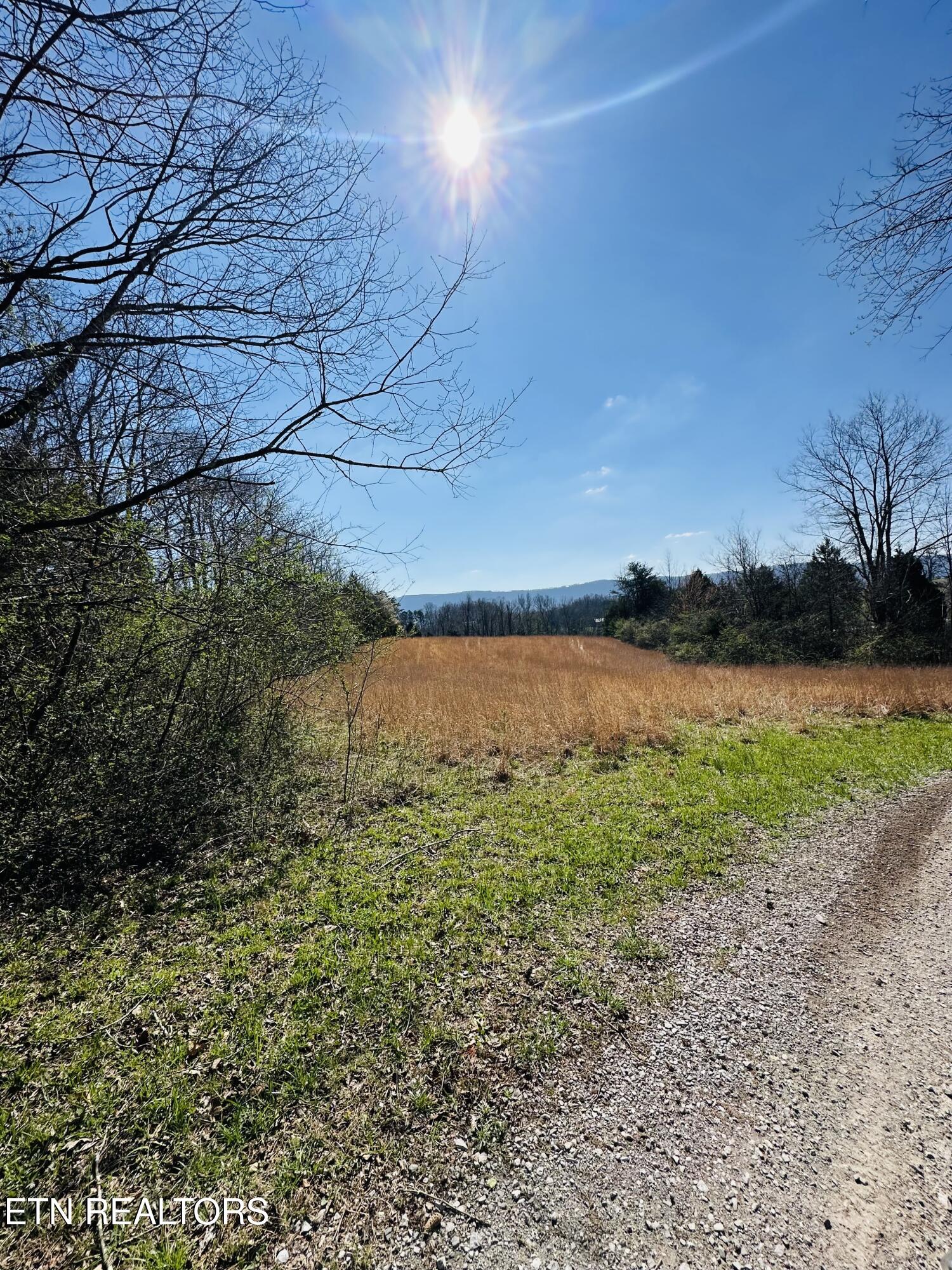 Land in Pikeville 5