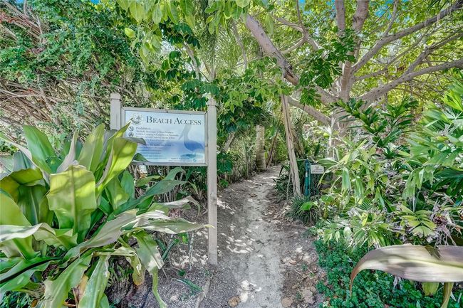 Beach access | Image 33