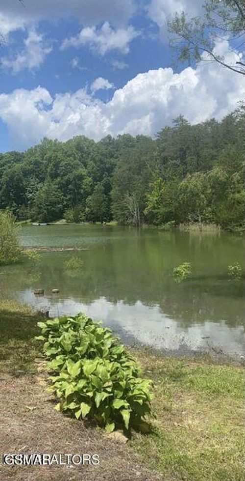 7 Pleasure Rd, Sevierville, TN, 37876 | Card Image