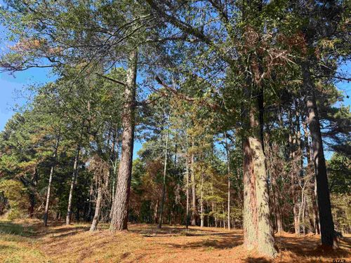 186 Susan Dr, Bullard, TX, 75757 | Card Image